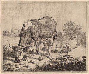 Flekkokse og tre sauer av Adriaen van de Velde