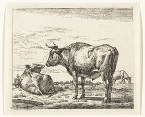 stående okse Forskjellige dyr (serietittel) av Adriaen van de Velde