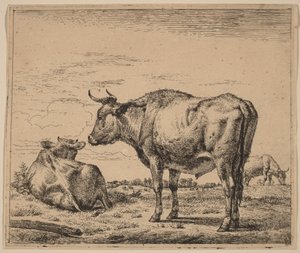 Stående okse av Adriaen van de Velde