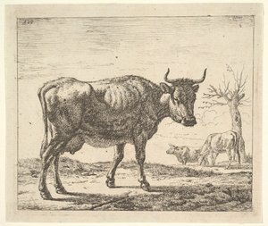 Tre kyr, fra forskjellige dyr. av Adriaen van de Velde