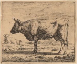 To kyr og en sau av Adriaen van de Velde