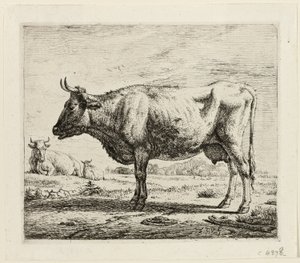To kyr og en sau av Adriaen van de Velde