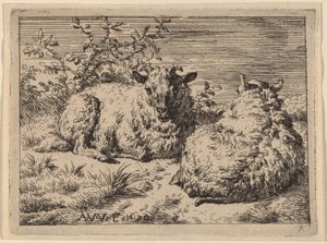 To liggende sauer av Adriaen van de Velde
