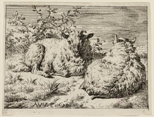 To sauer av Adriaen van de Velde