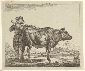 Ung gjeter med en okse, fra forskjellige dyr, 1659. av Adriaen van de Velde