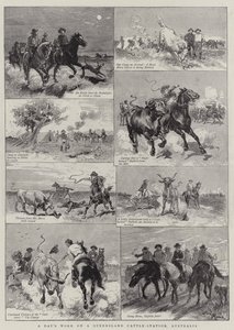 En dags arbeid på en Queensland Cattle-stasjon, Australia
