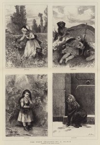 Årstidene