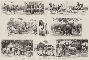 Den store elefant- og hestemessen i Sonepur, Bengal