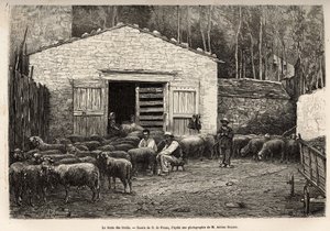 Sauehandelen, hele gårdens ansatte var ansatt i denne oppgaven, gutt, tjener, under tilsyn av gjeteren, gravering etter tegning av A.Marie, illustrerer en reise til Roquefort og dens omgivelser, av Adrien Roques og Jules Charton, av Adrien Emmanuel Marie