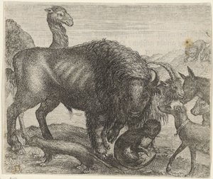 Fabel om bisonen og de andre dyrene