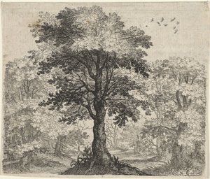 Fabel om alm og eik av Egidius  Sadeler (II)