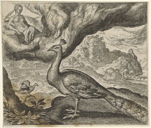 Fabel om påfuglen og nattergalen av Egidius  Sadeler (II)