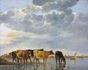  av Aelbert Cuyp