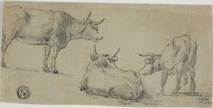  av Aelbert Cuyp