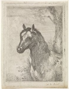 hestehode av Aert Schouman (signed by artist)