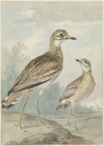 To skrik av Aert Schouman