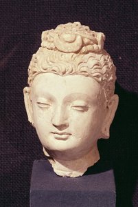 Hode for en Buddha, gresk-buddhistisk stil, fra Hadda (stukk)