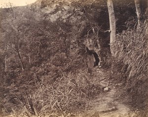 Venstre vei opp til Yuen foo kloster, ca. 1869.