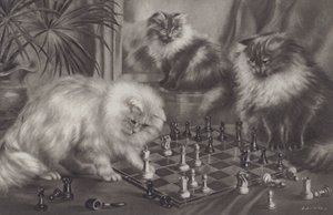 Gruppe katter som leker med sjakkbrikker av Agnes Augusta Talboys