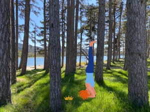 Sirsasana, 2023 (digital kunst på fotografi)