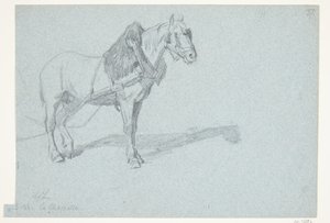 En hest