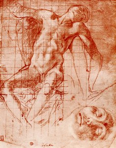 Studier, 1913. av Agnolo Bronzino