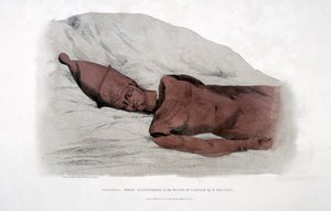 Kolossalt hode oppdaget i ruinene av Carnak av G Belzoni, 1820