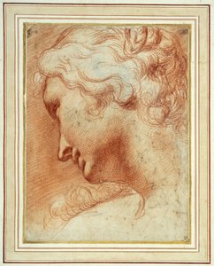 Hodet til en ung kvinne som ser ned over høyre skulder (rødt kritt på papir) av Agostino Carracci