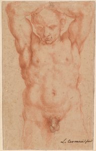 Naken mann av Agostino Carracci
