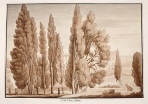 Villa d