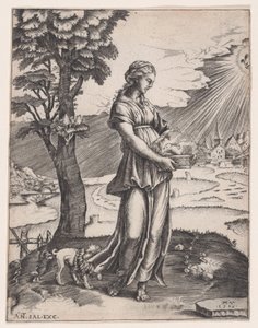 The Cumaean Sibyl, datert 1516. av Agostino Veneziano