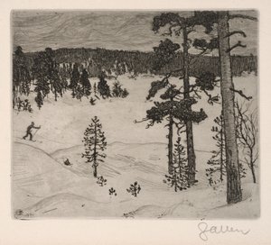 Vinterens mørke slør av Akseli Gallen-Kallela
