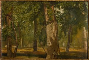 Veden (olje om bord) av Albano Lugli Carpi