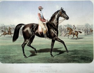 Racing: "" Suzerain, vinner av Chantilly-derbyet i 1868"" Litografi av Albert Adam (1833-?) Privat samling