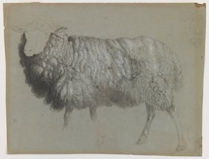 Study of an Ewe, ca. 1855 (grafitt, fargestift og kritt på grågrønt papir) av Albert Bierstadt