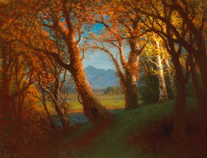 Solnedgang i Nebraska-territoriet av Albert Bierstadt