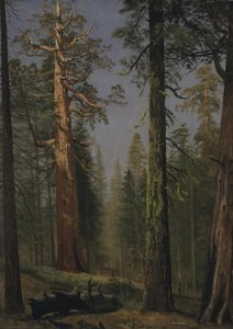  av Albert Bierstadt