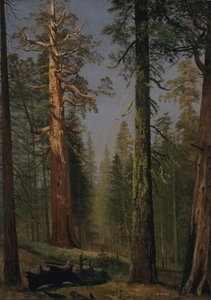  av Albert Bierstadt