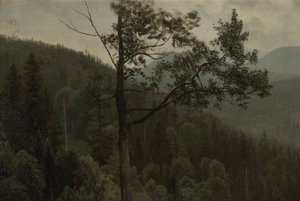  av Albert Bierstadt