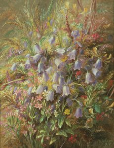 Harebells og andre skogblomster og gress av Albert Durer Lucas