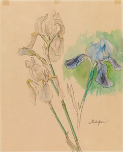  av Albert Edelfelt
