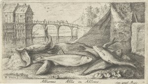 Alvers på en elvebredd alburnus. Ables eller Ablettes. (tittel på objekt) Fisk og andre sjødyr - ferskvanns andre serie (serietittel) Seconde partie de Poissons d