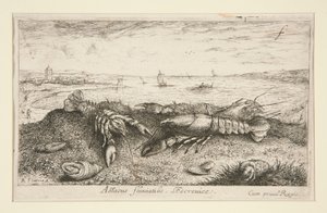 Astacus fluriatilis. L av Albert Flamen