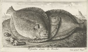 Tre unger på stranden Rhombus Laeuis La Barbuë (tittel på objekt) Fisk og andre sjødyr - saltvann tredje serie (serietittel) Poissons de mer (serietittel) av Albert Flamen
