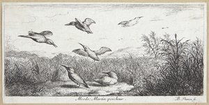 The Kingfisher (Alcedo) av Albert Flamen