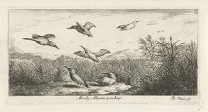 Landskap med isfugler alcedo; Martin-pecrack. (tittel på objekt) Fuglebok (serietittel) Livre d