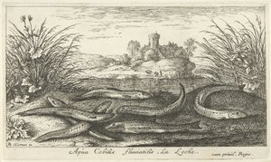 Loaches på en elvebredd Apua Cobitis fluuitilis. LaLoche. (tittel på objekt) Fisk og andre sjødyr - ferskvanns andre serie (serietittel) Seconde partie de Poissons d