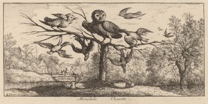 Monedula, Uglen av Albert Flamen