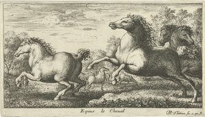 Hester Equus le Cheval (tittel på objekt) Ulike dyrearter (serietittel) av Albert Flamen