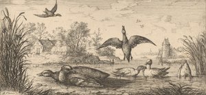 Querquedula, Cercelle The Teal: Livre d'Oyseaux Book of Birds, 1655-1660.